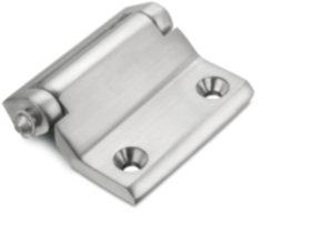 Cerniere in acciaio inox Cerniere in acciaio inox
